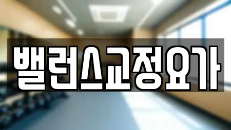 밸런스교정요가