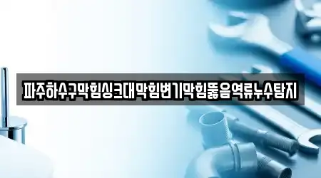 파주하수구막힘싱크대막힘변기막힘뚫음역류누수탐지