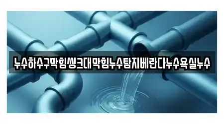 누수하수구막힘씽크대막힘누수탐지베란다누수욕실누수