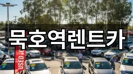 3곳 강원 동해 발한동렌트카 연락처 확인