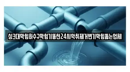 싱크대막힘하수구막힘기똥찬24시악취제거변기막힘뚫는업체