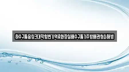 하수구뚫음싱크대막힘변기역류화장실배수구뚫기주방배관청소해빙