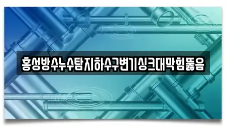 홍성방수누수탐지하수구변기싱크대막힘뚫음