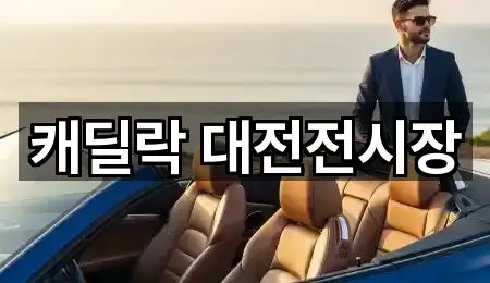 대전광역시 은행동 자동차전시장 필수 정보 3곳