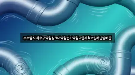 누수탐지.하수구막힘싱크대막힘변기막힘고압세척보일러난방배관