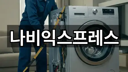 나비익스프레스