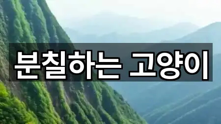 서울 광진구 화양동 메이크업 전화 문의 5곳