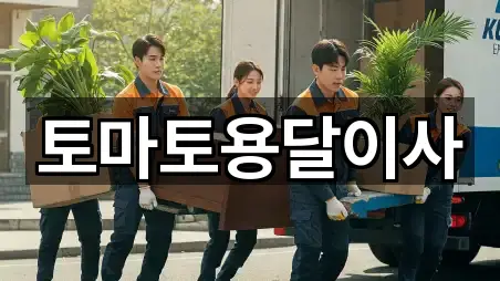 토마토용달이사