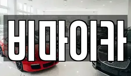 경기 고양시 일산동구 장항동 렌트카 전문 비마이카