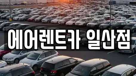 경기 고양시 일산동구 장항동 렌트카 전문 에어렌트카 일산점