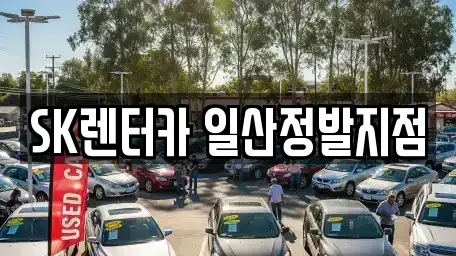 경기 고양시 일산동구 장항동 장기렌트카 전문 SK렌터카 일산정발지점