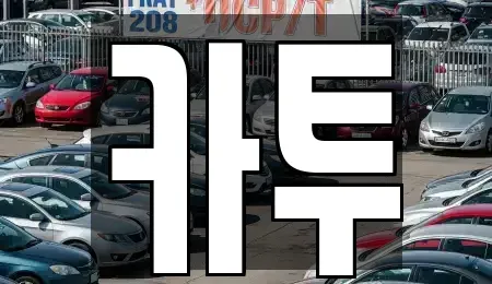 경기 고양시 일산동구 장항동 장기렌트카 전문 카투