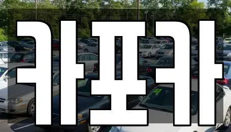 경기 고양시 일산동구 장항동 장기렌트카 전문 카포카