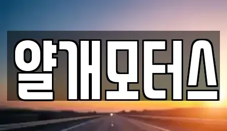 경기 고양시 일산동구 장항동 중고차 전문 얄개모터스