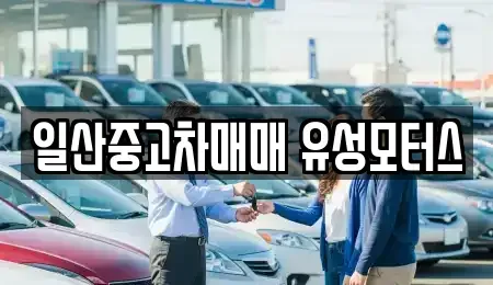 경기 고양시 일산동구 장항동 중고차 전문 일산중고차매매 유성모터스
