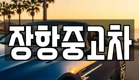 경기 고양시 일산동구 장항동 중고차 전문 장항중고차