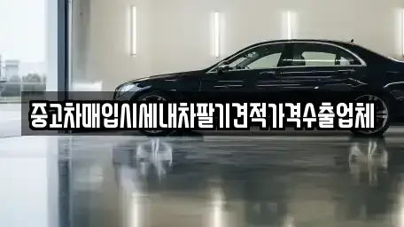 경기 고양시 일산동구 장항동 중고차매입 전문 중고차매입시세내차팔기견적가격수출업체