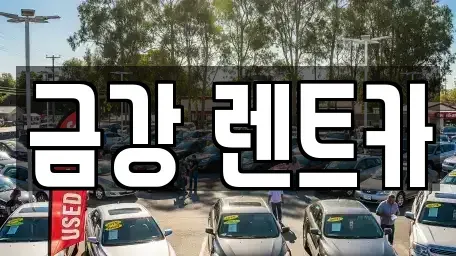 경기 수원시 팔달구 구천동 렌트카 전문 금강 렌트카