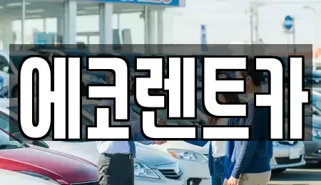 경기도 수원시 권선구 고색동 렌트카 전문 에코렌트카