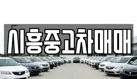 경기도 시흥시 안현동 중고차매매 전문 시흥중고차매매