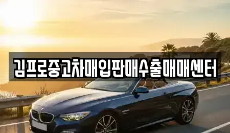 경기도 오산시 원동 중고차 전문 김프로중고차매입판매수출매매센터