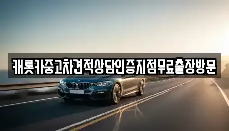 경기도 오산시 원동 중고차 전문 캐롯카중고차견적상담인증지점무료출장방문