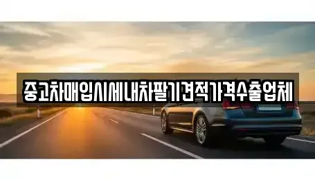 경기도 오산시 원동 중고차매입 전문 중고차매입시세내차팔기견적가격수출업체