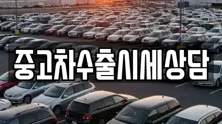 경북 안동시 동문동 중고차 전문 중고차수출시세상담