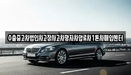 경상남도 창원시 마산합포구 오동동 중고차 전문 수출중고차법인차고장사고차망자차압류차1톤차매입센터