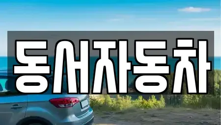 경상남도 창원시 성산구 신월동 중고차 전문 동서자동차