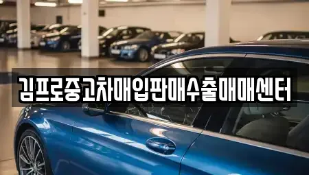 경상북도 포항시 남구 동촌동 중고차 전문 김프로중고차매입판매수출매매센터