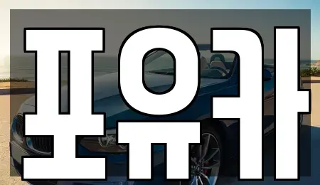 경상북도 포항시 남구 동촌동 중고차 전문 포유카