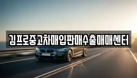 광주광역시 동구 대의동 중고차 전문 김프로중고차매입판매수출매매센터