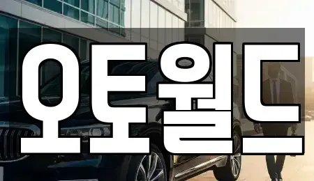 대전광역시 동구 신흥동 중고차 전문 오토월드
