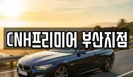 부산광역시 중구 대청동1가 렌트카 전문 CNH프리미어 부산지점