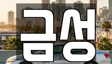 서울 도봉구 도봉동 렌트카 전문 금성