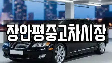 서울특별시 서대문구 대현동 중고차 전문 장안평중고차시장