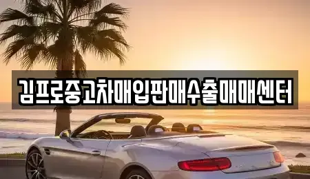 서울특별시 서대문구 대현동 중고차매매 전문 김프로중고차매입판매수출매매센터