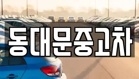 서울특별시 성북구 안암동3가 중고차 전문 동대문중고차