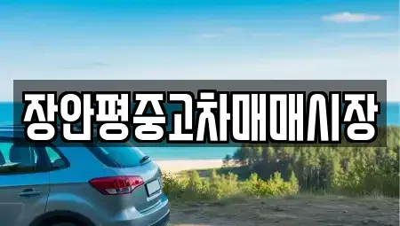 서울특별시 성북구 안암동3가 중고차 전문 장안평중고차매매시장