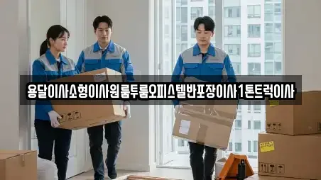 용달이사소형이사원룸투룸오피스텔반포장이사1톤트럭이사