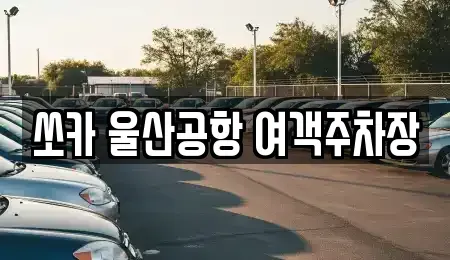 울산 북구 시례동 렌트카 전문 쏘카 울산공항 여객주차장