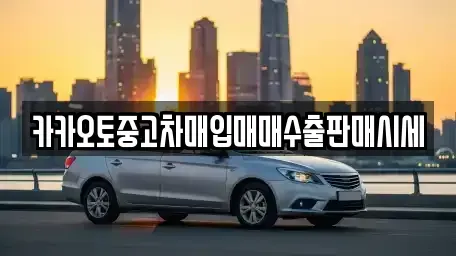 인천 서구 공촌동 중고차매매 전문 카카오토중고차매입매매수출판매시세