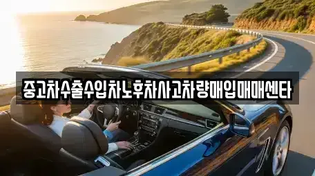 전라남도 장흥군 장흥읍 중고차 전문 중고차수출수입차노후차사고차량매입매매센타