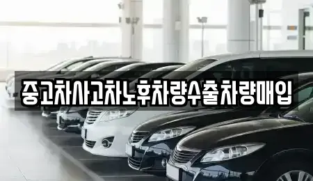 충남 논산시 덕지동 중고차매입 전문 중고차사고차노후차량수출차량매입